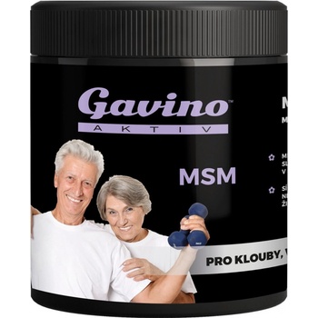 Gavino Aktic MSM 700 g