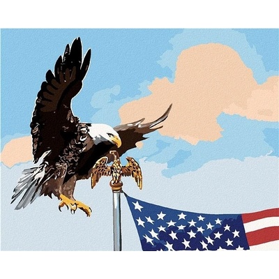 zuty Malování Podle Čísel Orel U Stožáru Vlajky Usa D. Rusty Rust 40 x 50 Cm Plátno Rám