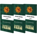Sour Diesel Barney's Farm semena neobsahují THC 5 ks
