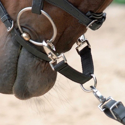 WALDHAUSEN Lonžovací spojka černá 18