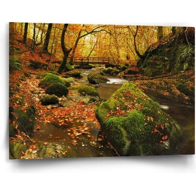 Sablio Obraz Most v lese - 90x60 cm