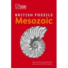 British Mesozoic Fossils