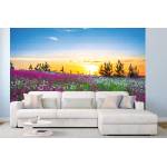 DIMEX ART Самозалепваща се флизелинова фототапета зора над цъфтяща поляна 375 x 250 см