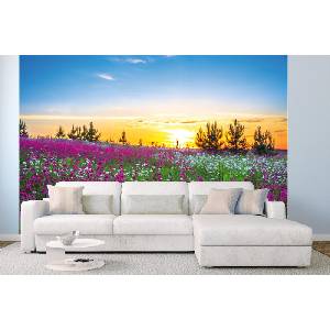 DIMEX ART Самозалепваща се флизелинова фототапета зора над цъфтяща поляна 375 x 250 см