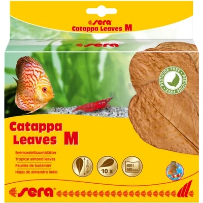 Sera Catappa Leaves M 10-15см, 10 броя