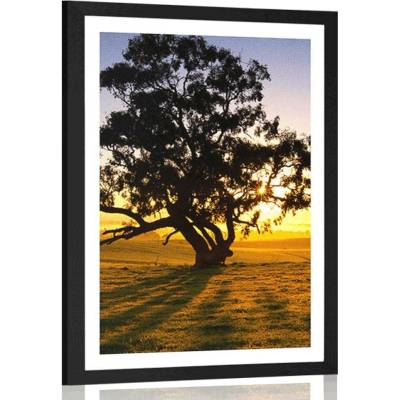 Plakát s paspartou osamělý strom při západu slunce - 20x30 black