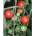 ? Чери домати - humboldt tomato - 15 семена (291156)