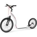 Image 1 of Yedoo Rodstr