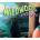 Wildwood Down