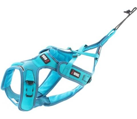 iDog postroj ALM Phoenix