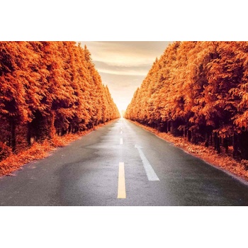 DIMEX ART s. r. o Флизелинов фототапет есенен път 375 x 250 см