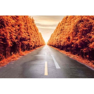 DIMEX ART Флизелинов фототапет есенен път 375 x 250 см