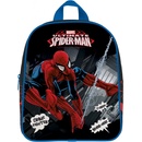 Karton P+P Spider-Man