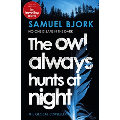 The Owl Always Hunts At Night