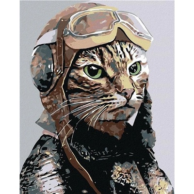 Zuty Malování podle čísel Letec 80 x 100 cm bez rámu a bez vypnutí plátna