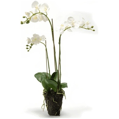 Umelá orchidea Phalaenopsis biela 75 cm