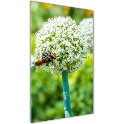 Vertikálny fotoobraz na skle Kvety cesnaku 50x100 cm