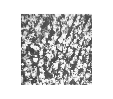 Michael Nau - Popfly CD