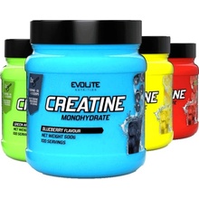 Evolite Creatine Monohydrate 500 g