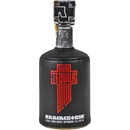 Rammstein Tequila 38% 0,7 l (holá láhev)