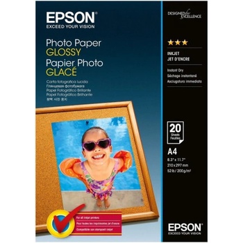 Epson C13S042178