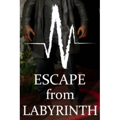 Игра Escape from Labyrinth за PC Steam, Електронна доставка