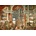 EUROGRAPHICS - Puzzle Gallery of Views of Modern Rome - 1 000 piese