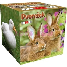 Pexeso box: Dvoreček