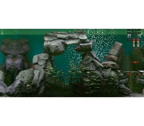 Biotope