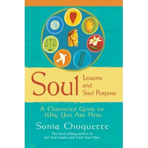 Soul Lessons And Soul Purpose (ISBN: 9781401907891)