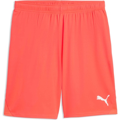 PUMA Teamgoal shorts xxl