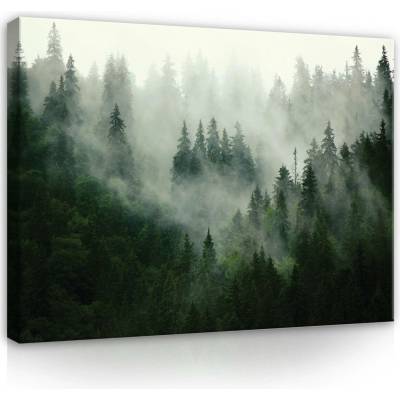 Postershop Obraz na plátně: Mlha nad lesem (1) - 100x75 cm