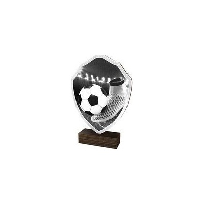 Poháry Bauer Dřevěná plaketa TFRW007 Fotbal