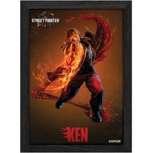 Pixel Frames PLAX Street Fighter 6: Ken 25x30, RET00394