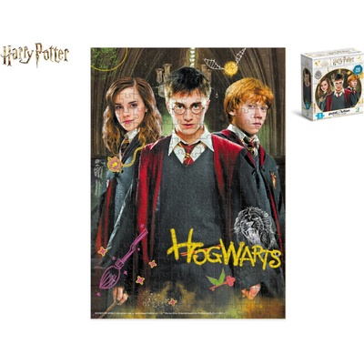 Mikro trading Harry Potter Harry a přátelé 250 dielov