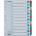 ESSELTE Регистър ESSELTE Mylar A/4 ламиниран картон 1-12 100162 (100162)