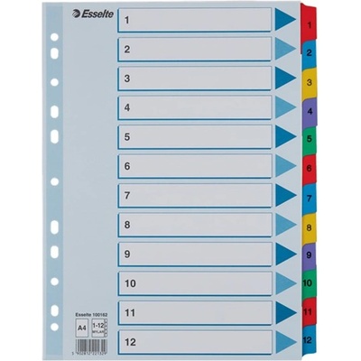 ESSELTE Регистър ESSELTE Mylar A/4 ламиниран картон 1-12 100162 (100162)