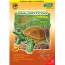 Image 1 of Сухоземна костенурка