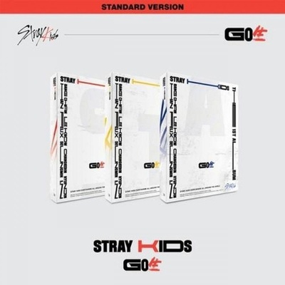 STRAY KIDS - GO LIVE CD
