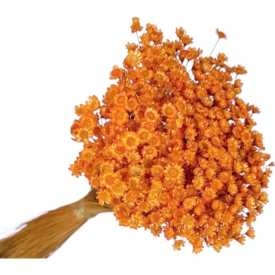 Sušené kvety Glixia 50g - oranžová