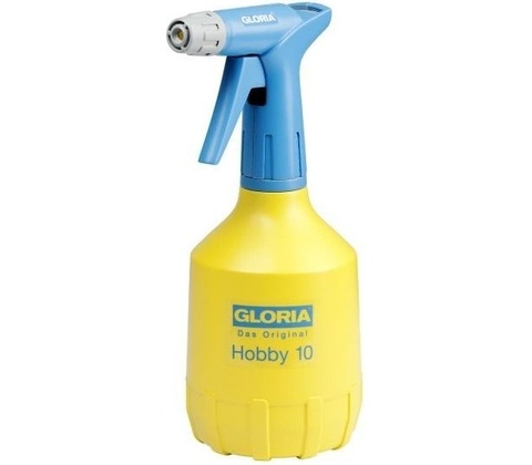 Gloria Hobby 10
