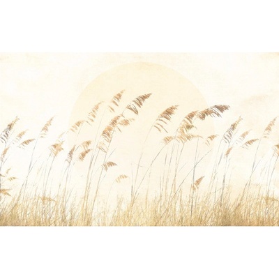 LJX8-063 Fototapeta vliesová Dune Grass rozměry 400x250 cm