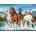 Castorland - Puzzle Call of Nature - 2 000 piese