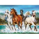 Castorland - Puzzle Call of Nature - 2 000 piese