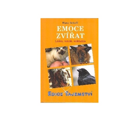 Emoce zvířat