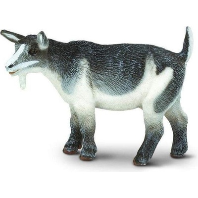 Safari Ltd. Koza trpasličí