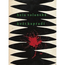 Květ kapradí