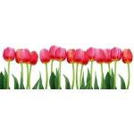 DIMEX ART Фототапет за кухня - лалаета 180 x 60 см
