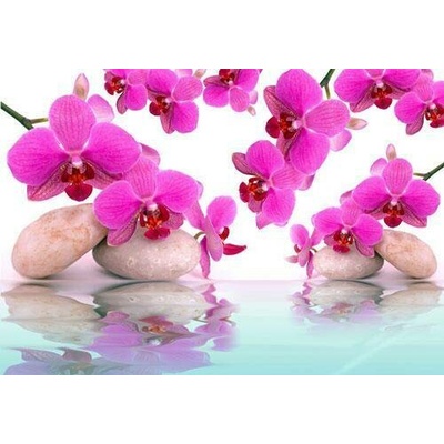 Impol Trade 151VE vliesová fototapeta orchidej růžová 310 cm x 219 cm