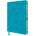 Flame Tree Publishing Van Gogh: Almond Blossom Artisan Art Notebook (Flame Tree Journals) | Flame Tree Publishing